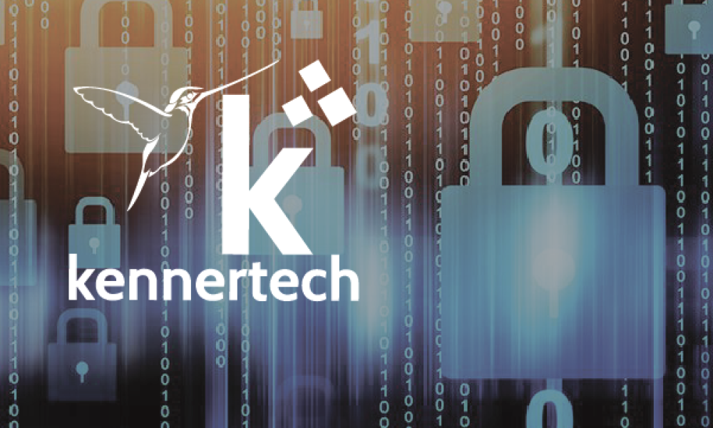 Reforzando la Fortaleza Digital: La Importancia de la Seguridad Perimetral y Firewall