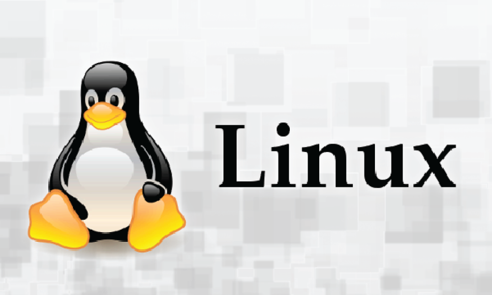 Explorando el Mundo de Linux: SUSE, Red Hat y Oracle
