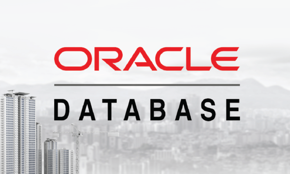 Características de Bases de Datos Oracle: Explorando su Excelencia Tecnológica
